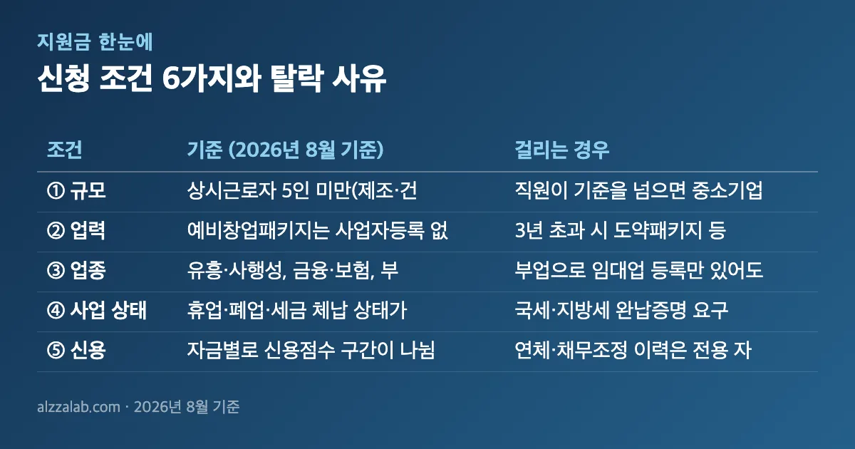 정부지원사업 지원 조건 6가지|업력·제외 업종·선착순 폐지 신청 조건 6가지와 탈락 사유 정리 표